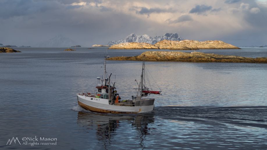 01 A fishing boat approaches Henningsvær Harbour, Austvågøya Island